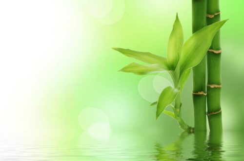 chansons zen