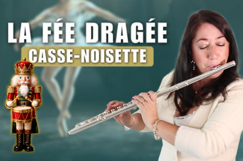 La Fee Dragee flute cover
